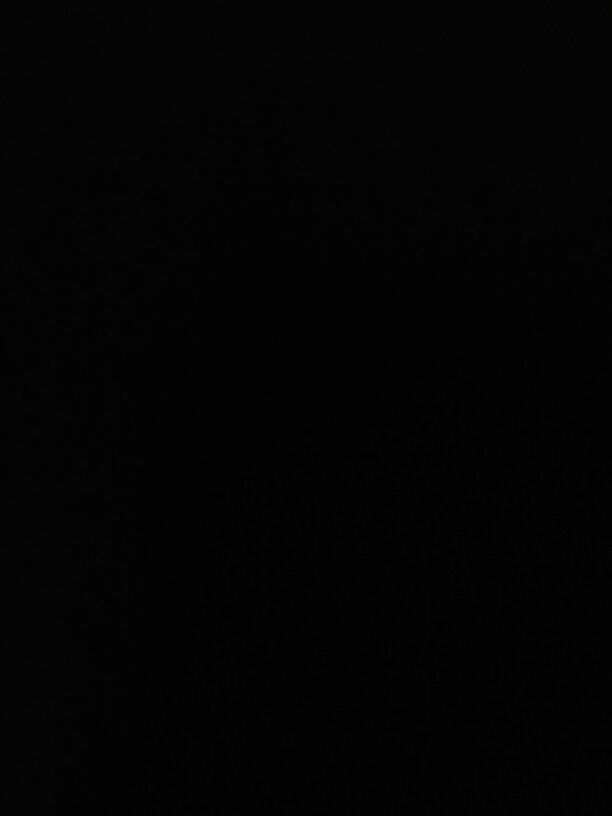 Pisau Buah Stainless Set Isi 12 Pcs Pisau Dapur Mini Pisau