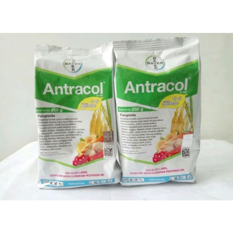ANTRACOL 70 WP Fungisida obat Jamur
