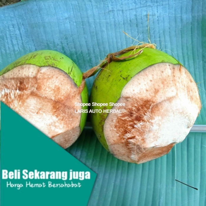 

Kelapa muda ijo