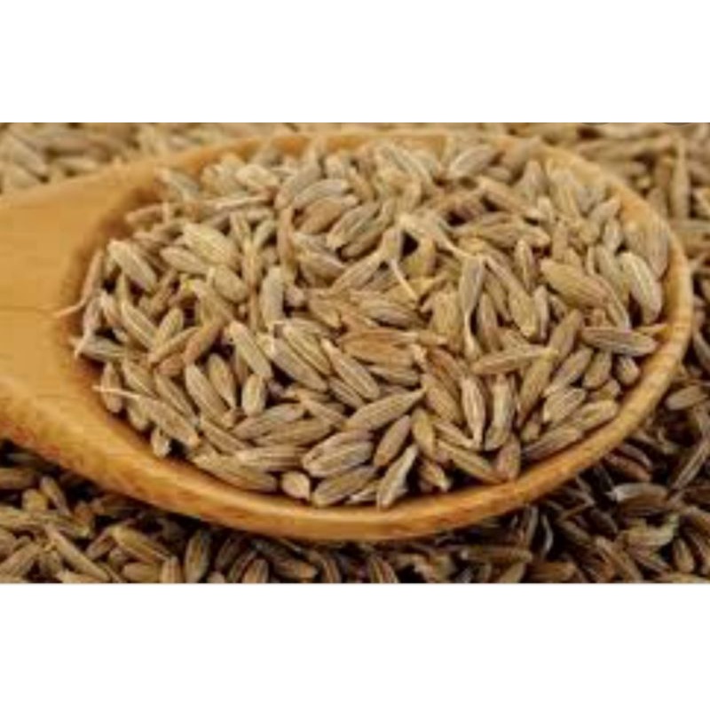 

JINTEN/JINTAN PUTIH 500G/JINTEN MURAH BERSIH