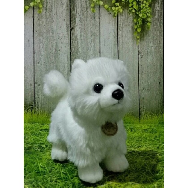 Boneka Anjing Pom Putih