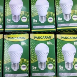 FUTAKO PANCARAN Lampu Bohlam LED 5W 6500K 300 LumeS