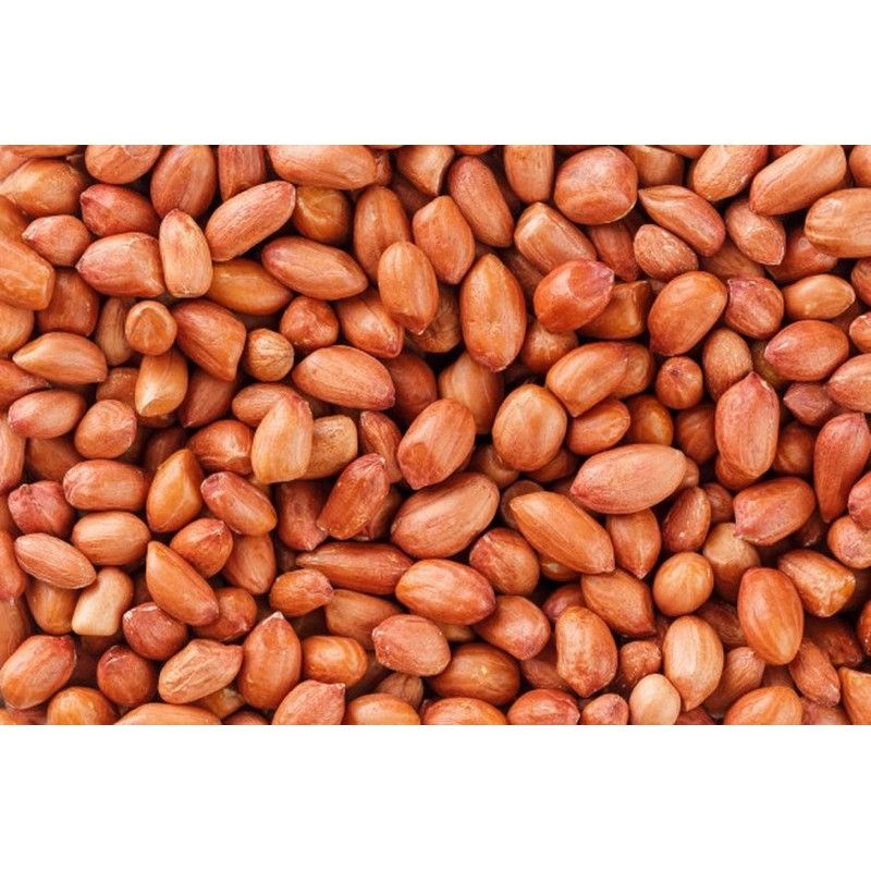 

KACANG TANAH