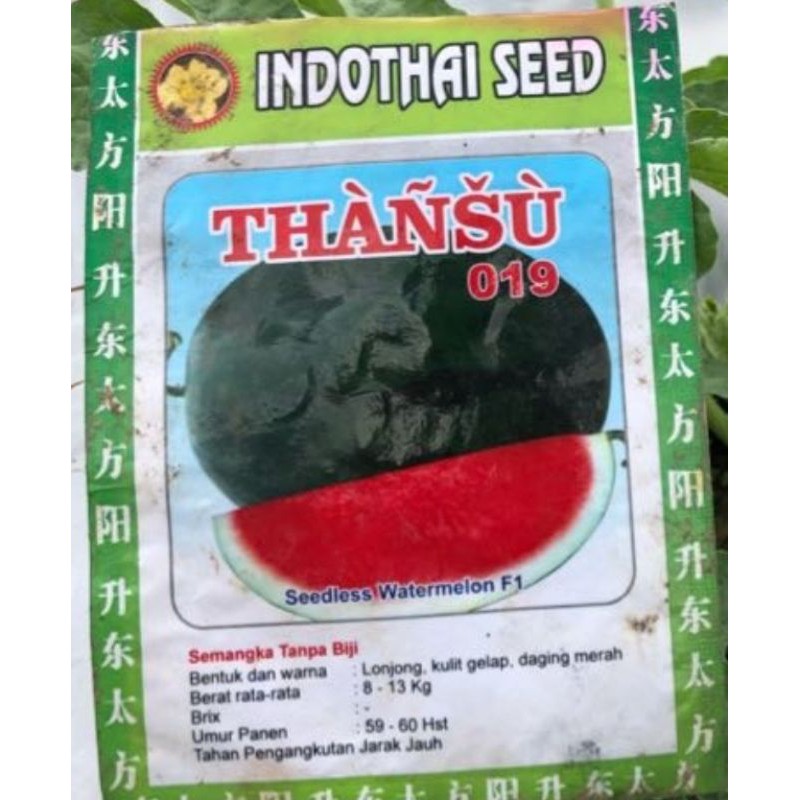 Benih Semangka Thansu F1