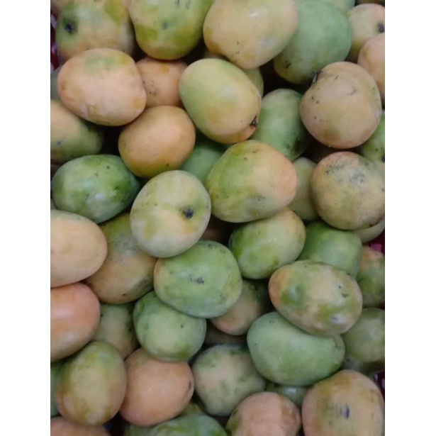 

MANGGA GEDONG 1KG.