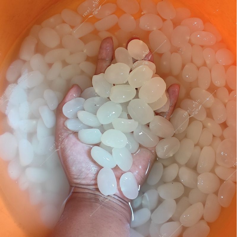 

KOLANG KALING MENTAH (fresh)500 gram