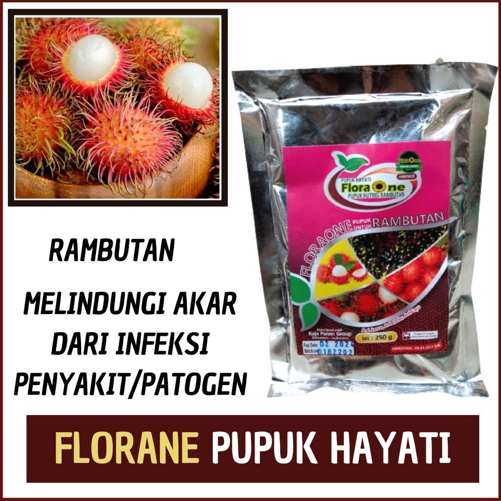Pupuk Rambutan, Booster Hayati Rambutan, Pupuk Rambutan Agar Cepat Berbuah