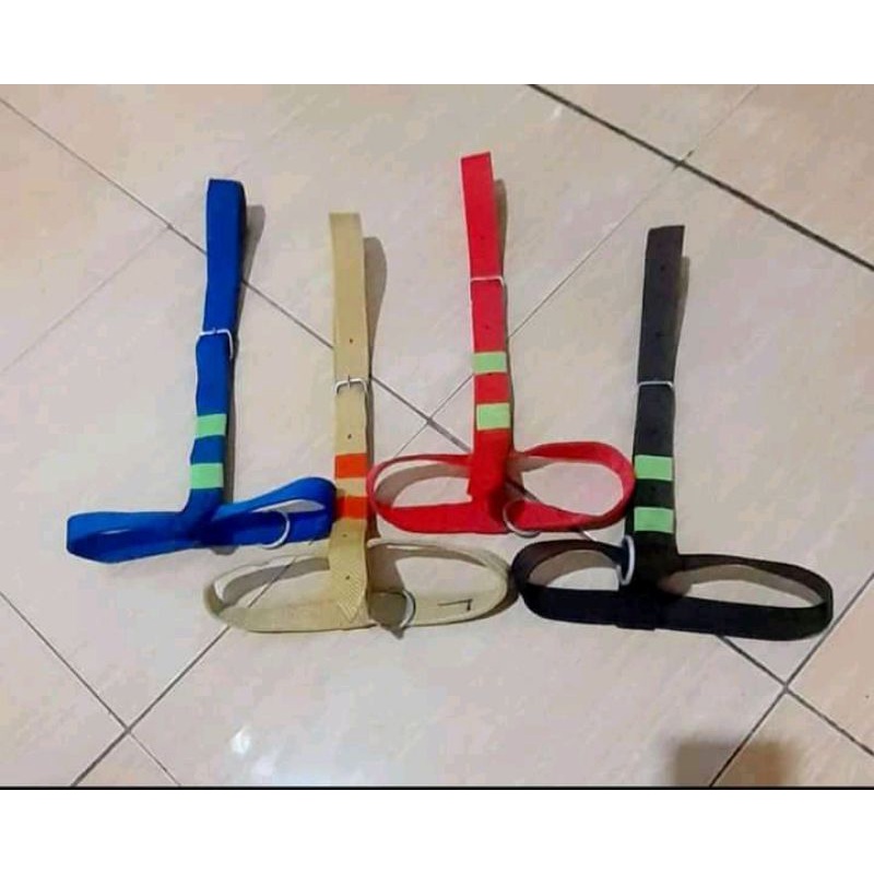 BRANGOS SAPI/BRANGUS SAPI/HEAD HELTER/KELUH SAPI TERBARU