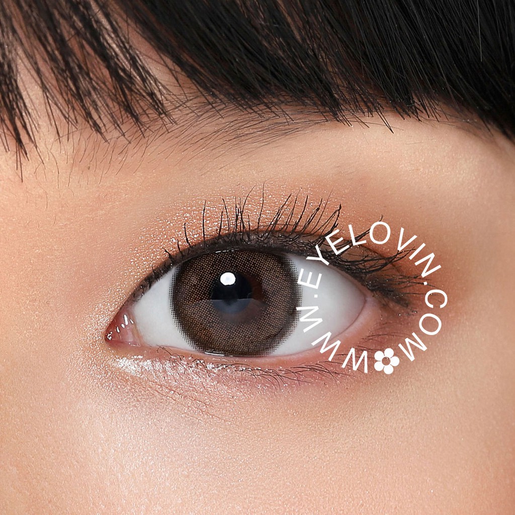 EYELOVIN Softlens Kitty Kawaii - Mini Birkin Brown