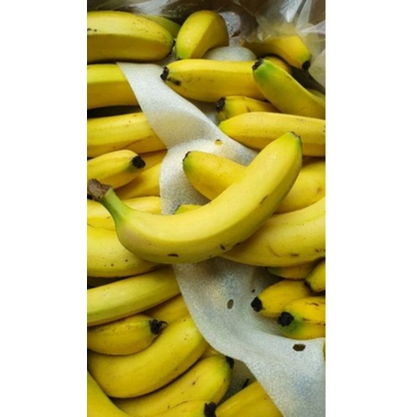 

Pisang Sunpride Size Mini per box 13 kg