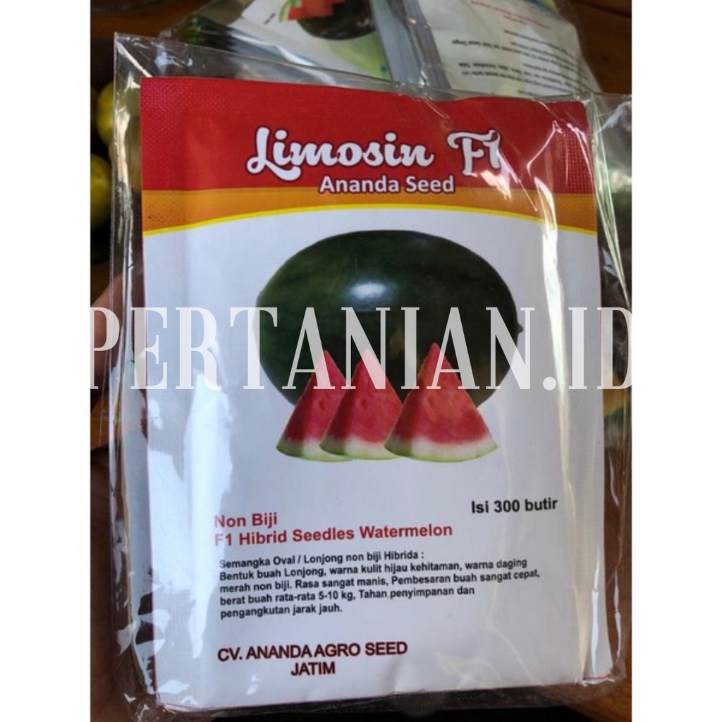 Benih semangka limosin f1 isi 300 butir / semangka non biji