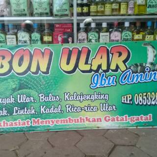 Minyak Ular cobra asli Ibu Aminah isi 15 ml Shopee Indonesia Minyak Ular cobra asli Ibu Aminah isi 15 ml Shopee Indonesia