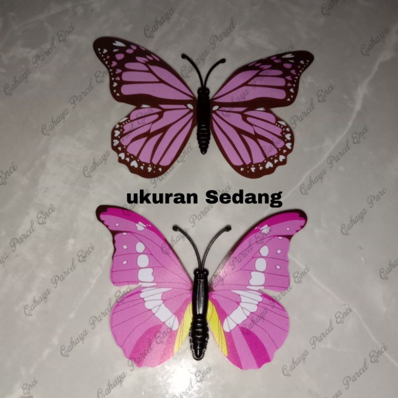 Kupu-kupu 3D ukuran Sedang 1pcs