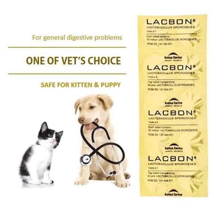 Baru Suplemen Probiotik Atasi Masalah Pencernaan Anjing Dan Kucing, Lacbon