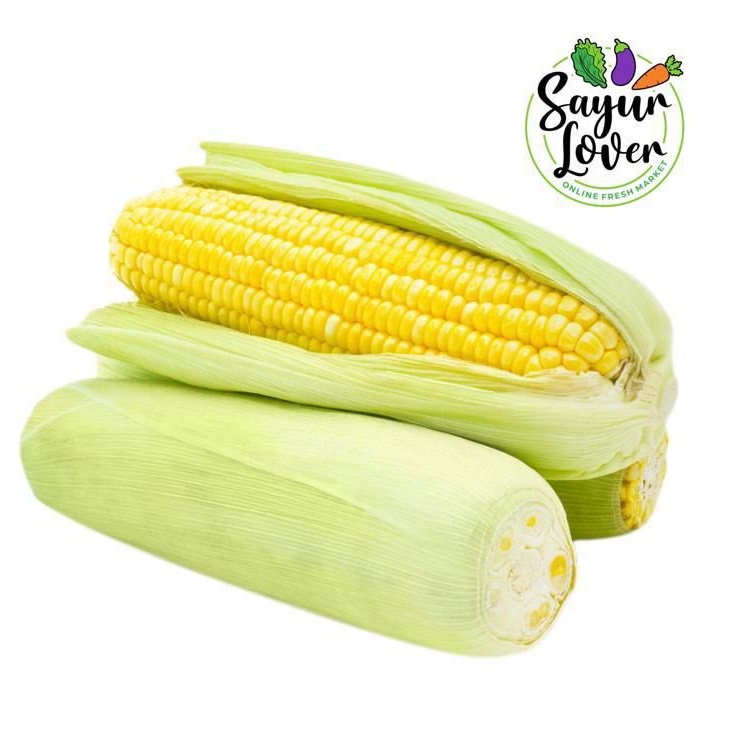 

Jagung Manis 1 buah sayurlover