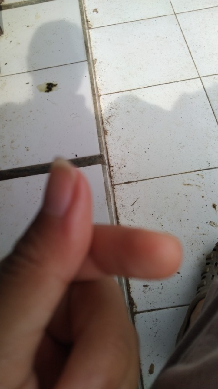 Pemotong Pengiris Serbaguna Untuk Keripik Pisang Tempe Singkong Ubi Kentang Bawang