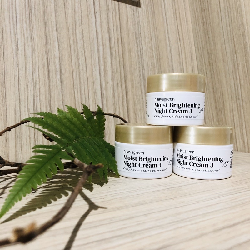 Moist Brightening Night Cream 3