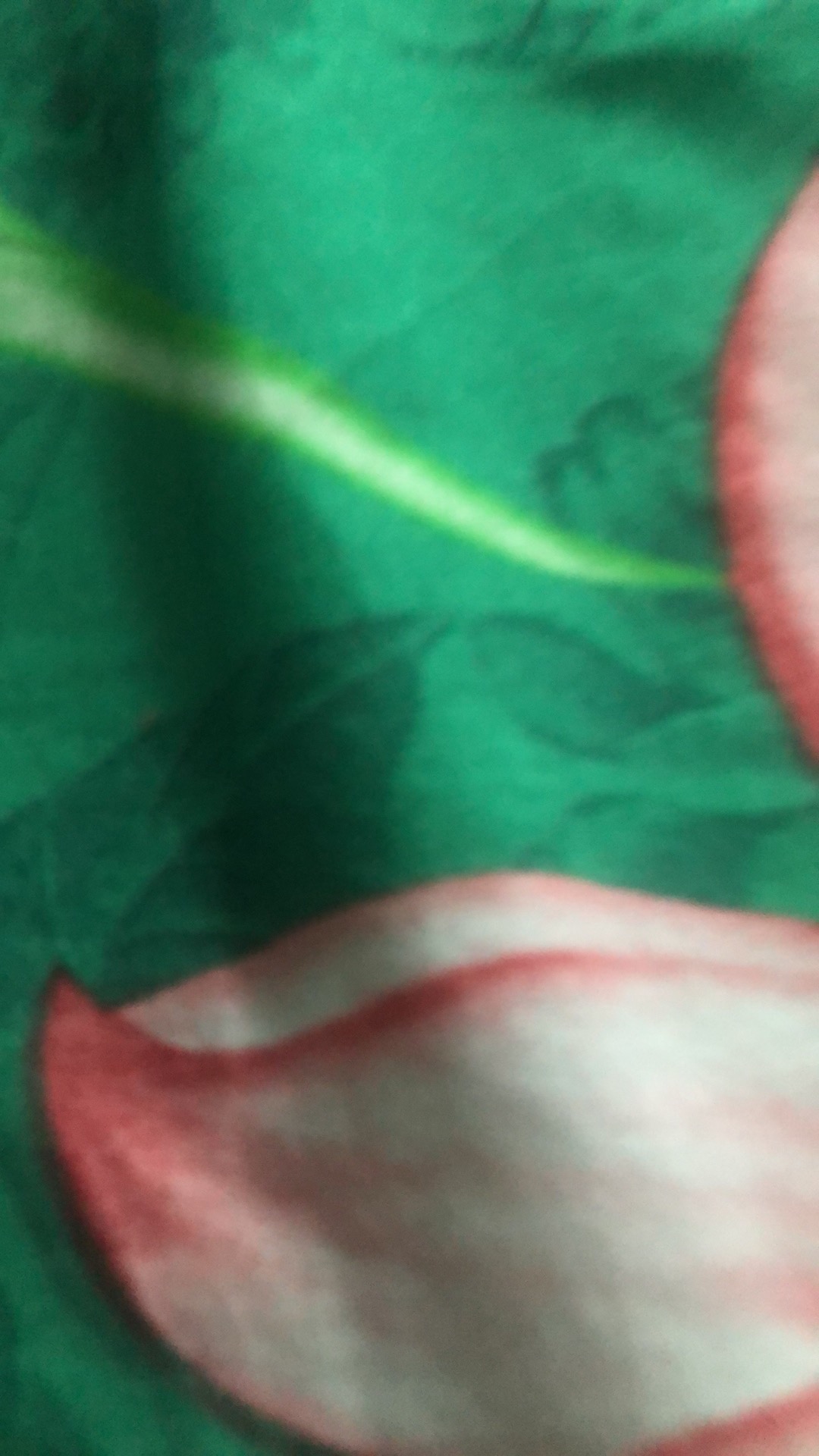 Paper Tray - Tray Makanan - Wadah Makanan - Open Tray Makanan Minimal Order Kelipatan 100