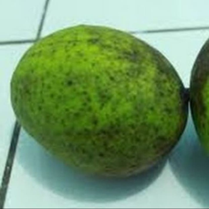 

mangga quweni 1kg /BEM BEM mangga