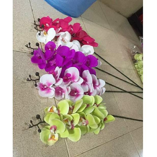 Promo Bunga Anggrek Latex K9 Per Tangkai Bunga Anggrek Bulan Artificial Promo Shopee Indonesia