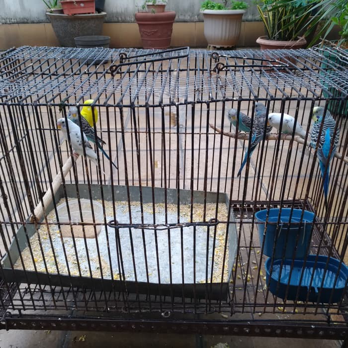 Shopee Indonesia Jual Beli Di Ponsel Dan Online