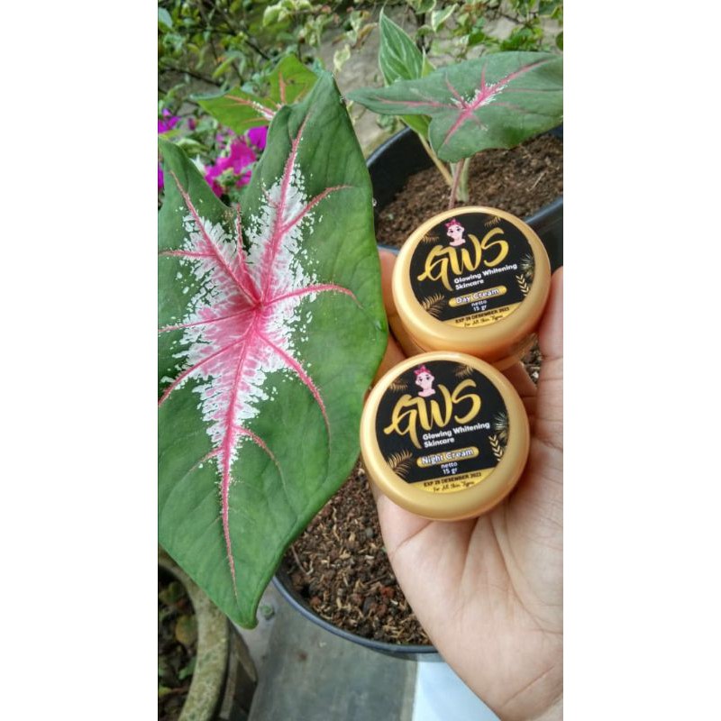 GWS ( GLOWING WHITENING SKINCARE )