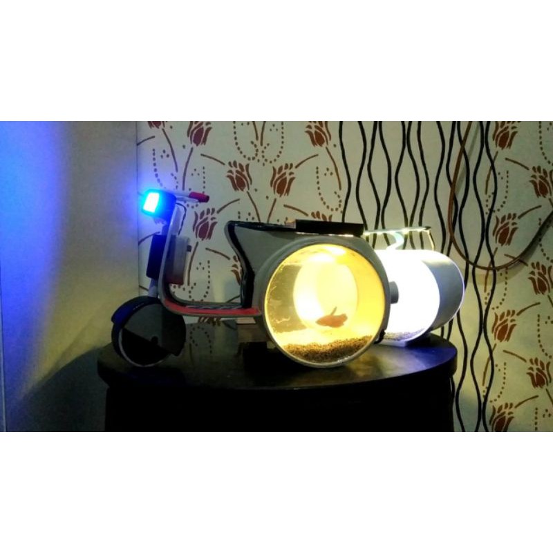 akuarium ikan cupang