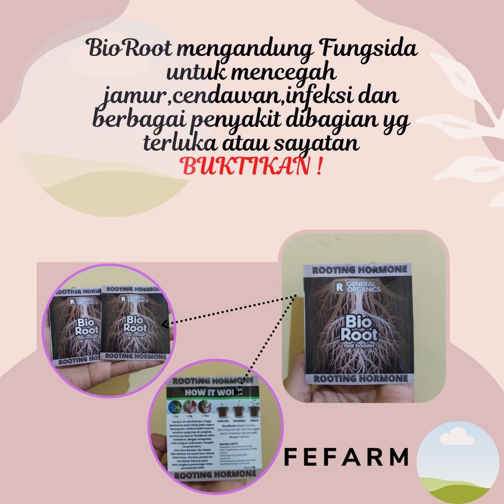 PUPUK AKAR BIOROOT HORMON  TANAMAN ROOT UP 10 Gram FEFARM