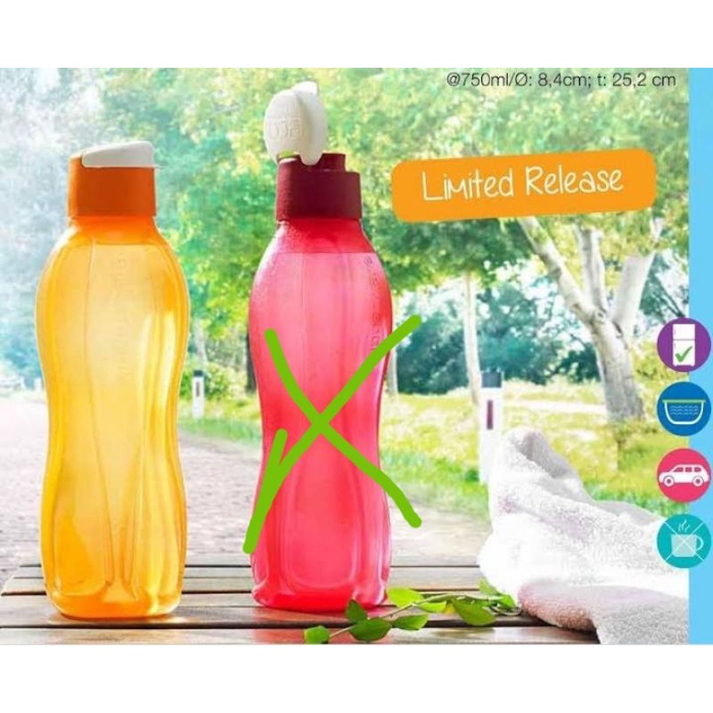 Jual Eco Bottle Ml Shopee Indonesia