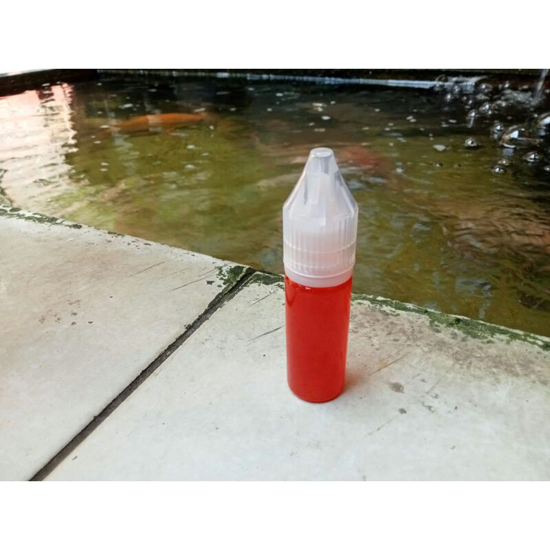 esen oplosan kamper Stoberi Induk/Rame/Balap