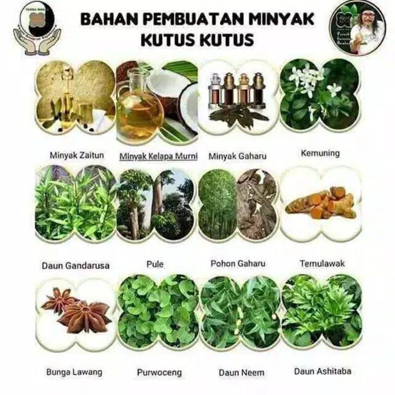 [AGEN RESMI] [BPOM] Minyak Kutus Kutus Tamba Waras Bali Healing Oil MKK Minyak Balur