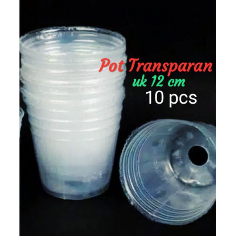 pot transparan uk 12 isi 10 pcs pot anggrek pot sedling anggrek pot transparan pot plastik