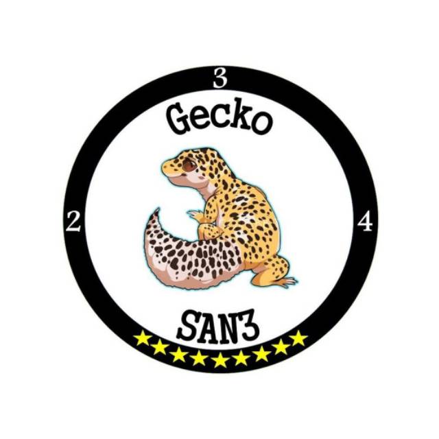 geckosan3