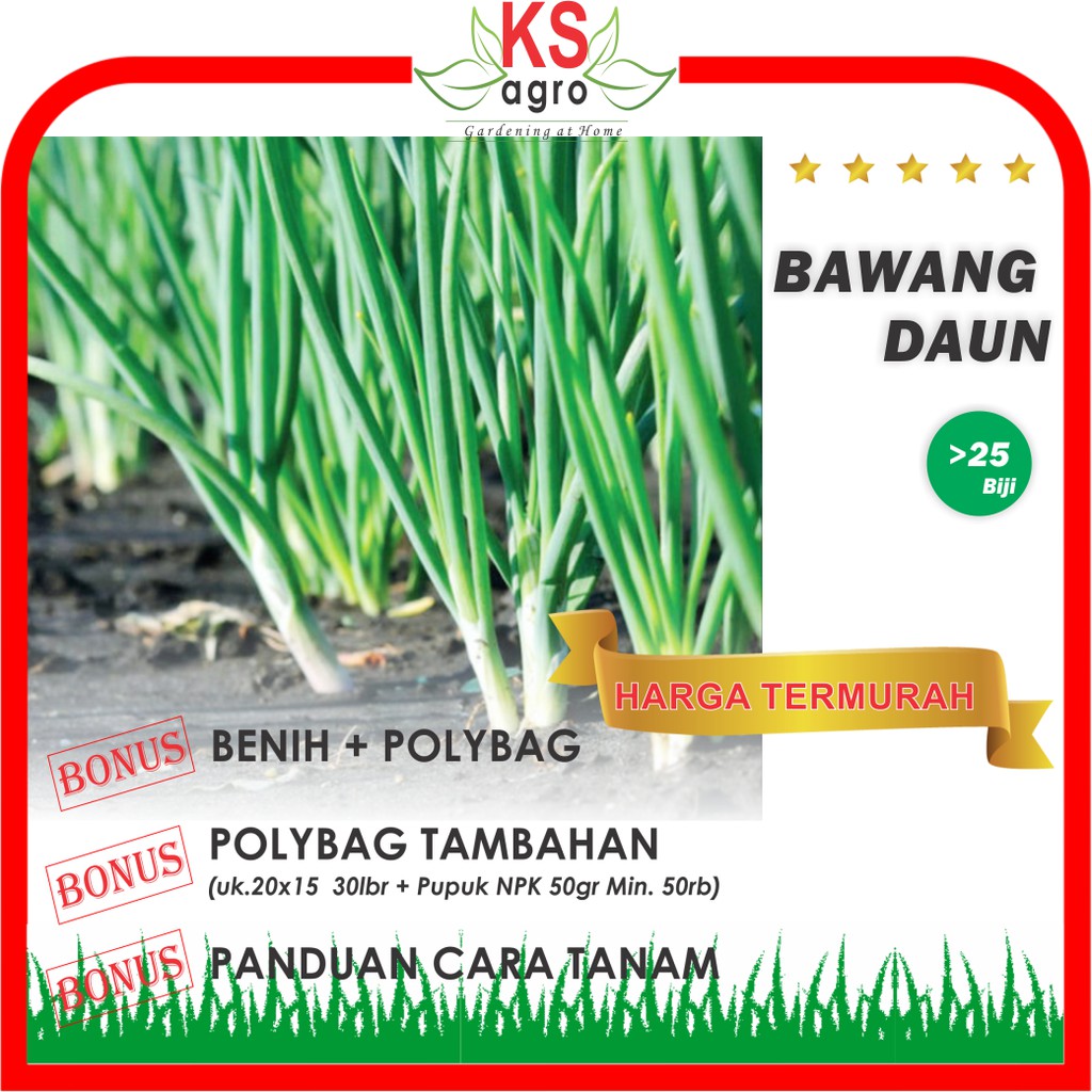 BIBIT BAWANG DAUN BENIH SAYURAN UNGGUL