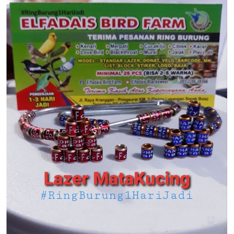 25PCS Ring Burung MODEL MK MataKucing Cepat 1Hari Jadi