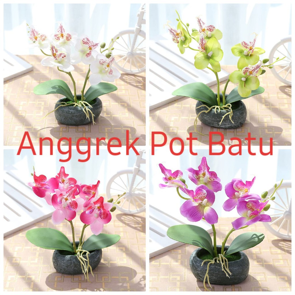 Bunga Anggrek Pot Batu 1kilo Muat 4pcs Tanaman Artifisial Shopee Indonesia