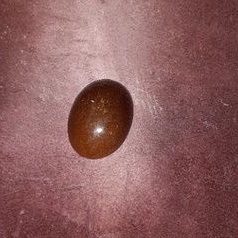 Mata Cincin Genter Katilayu Asli Cirebon