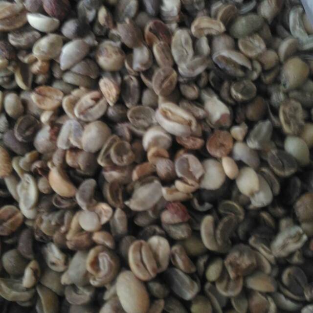 Biji kopi mentah robusta temanggung gread ahir / rijek ( 1 kg)