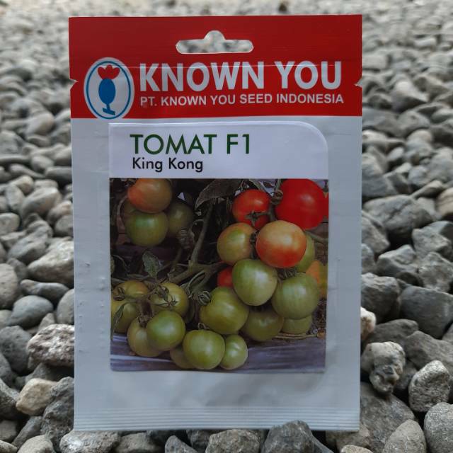 benih sayur tomat KING KONG F1 (65btr) Known You Seed
