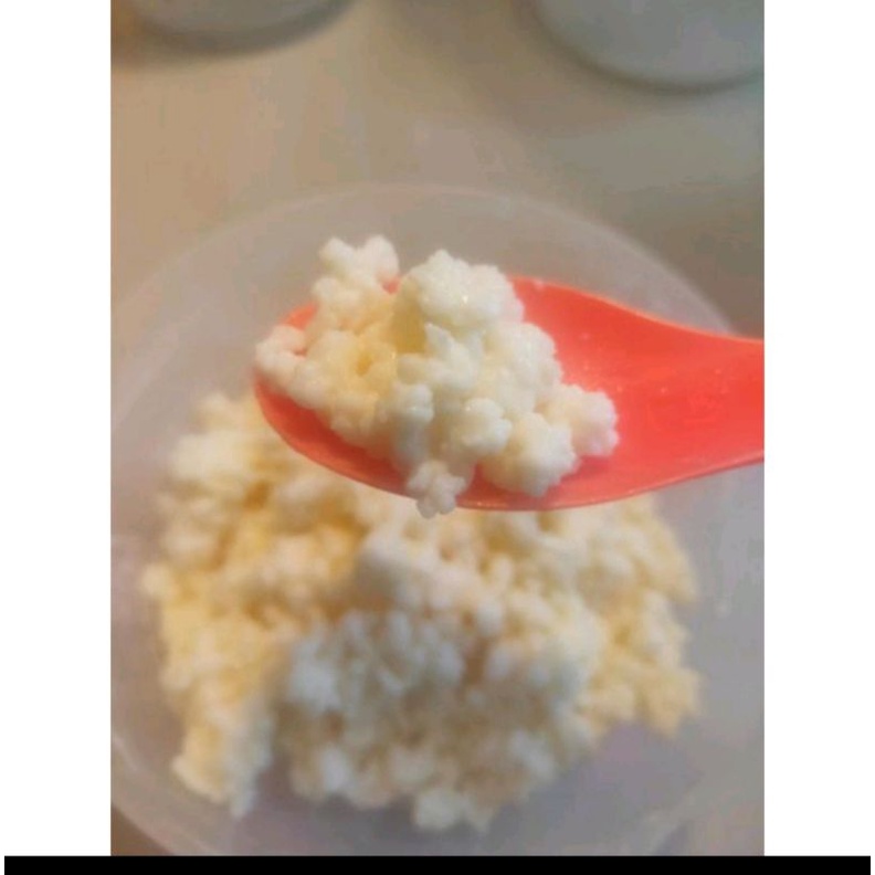 

Bibit kefir grain asli untuk seumur hidup 10 gr