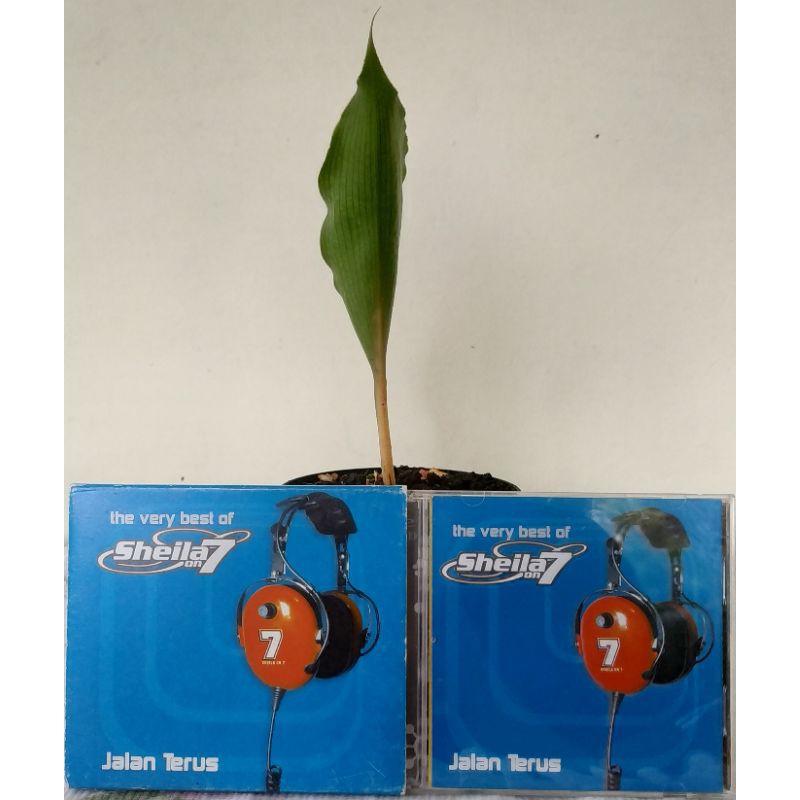 CD Sheila on 7 - Jalan terus