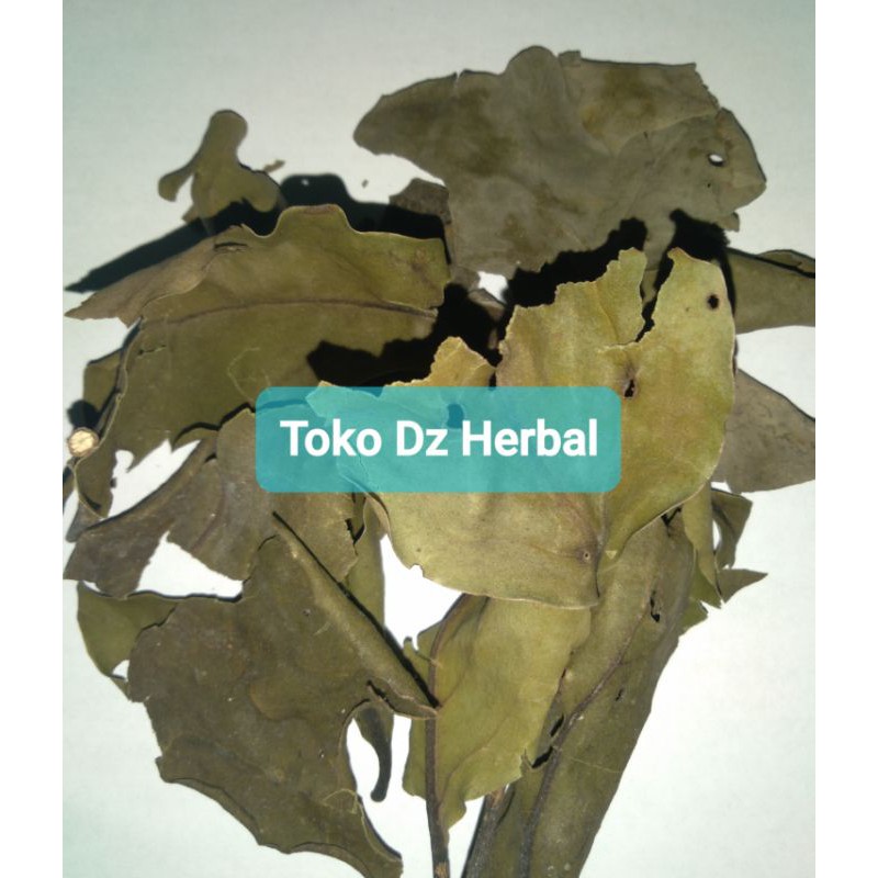 

Benalu kelor kering 150 gram paket hemat-az