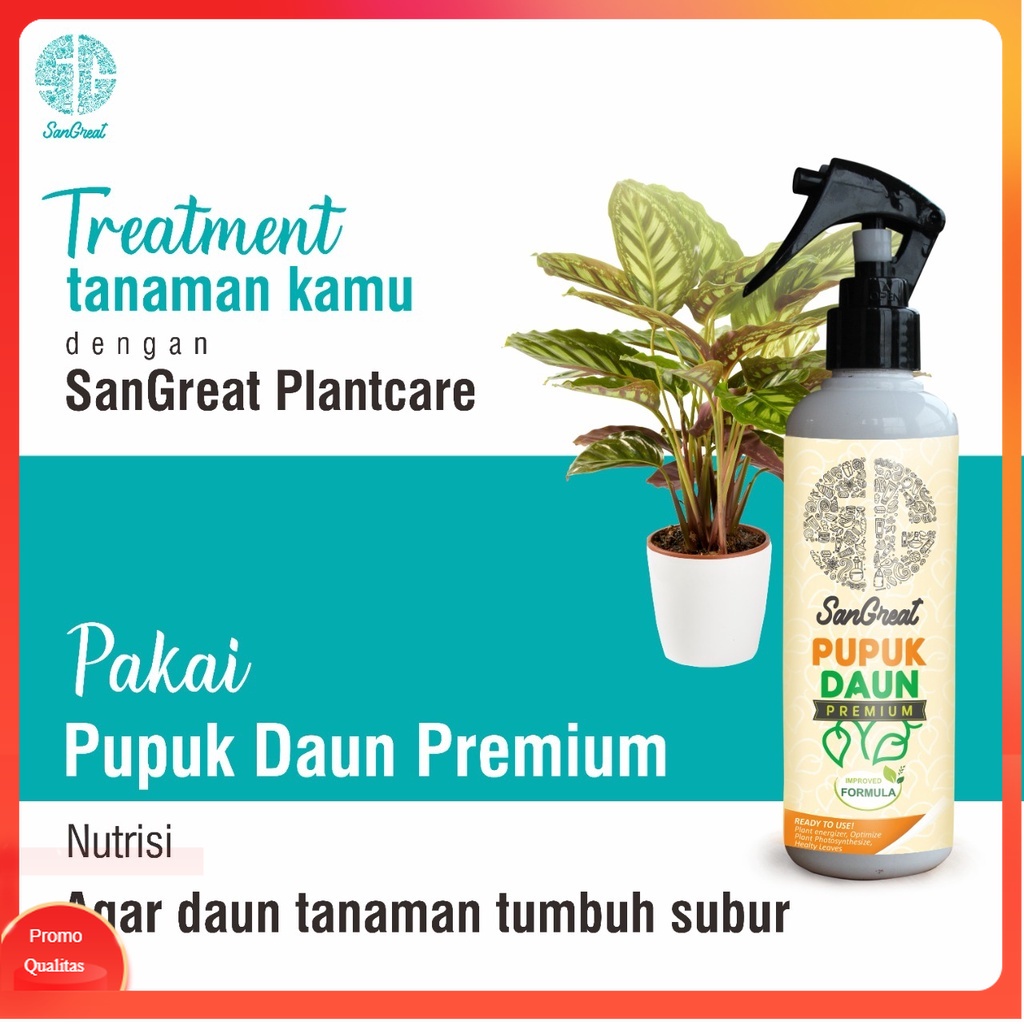Promo Pupuk daun tanaman hias Premium Siap Pakai NPK 32-10-10 + vitamin B1 250 ml untuk aglonema phi