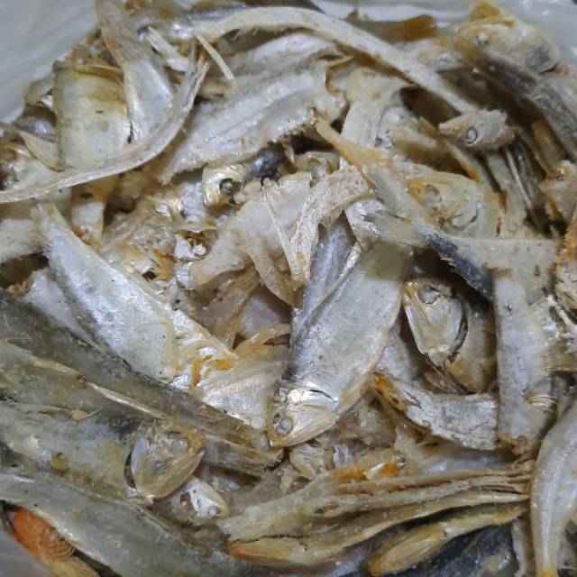 

Ikan sampah besar