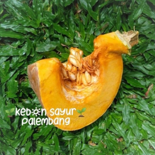 

Labu Kuning 500 gr