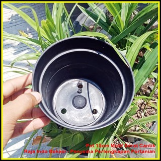 POT BUNGA 15CM HITAM Toko Pot Tanaman Hias Grosir Murah POT BUNGA 15CM HITAM Toko Pot Tanaman Hias Grosir Murah