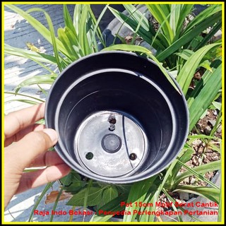  POT  BUNGA  15CM HITAM  Toko Pot  Tanaman Hias Grosir Murah 