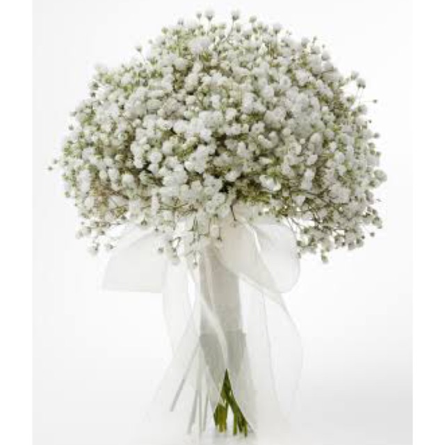 Buket bunga wedding baby breath