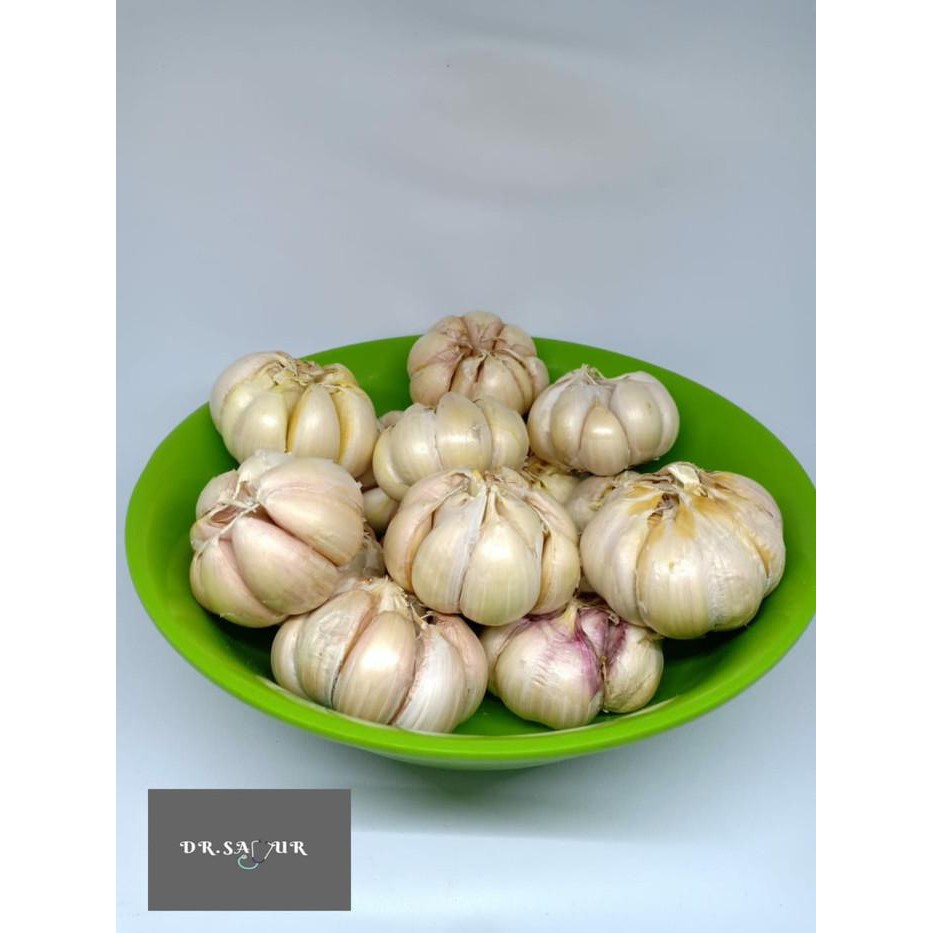 

Bawang Putih Honan/Bawang Putih Banci BERKUALITAS