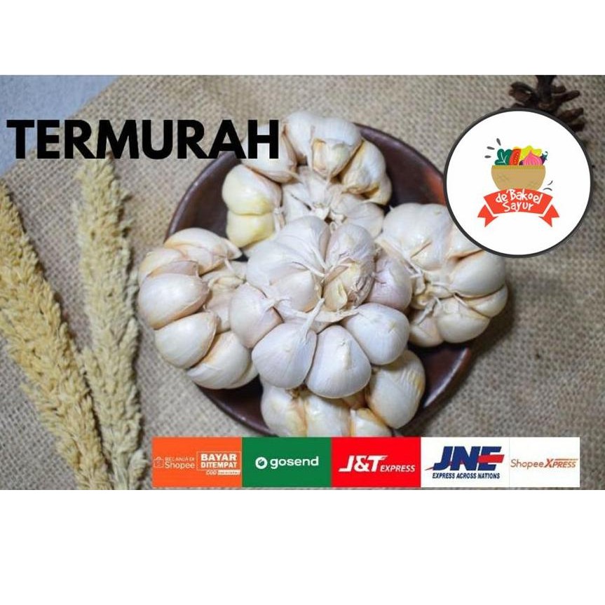 

Bawang Putih Hanon
